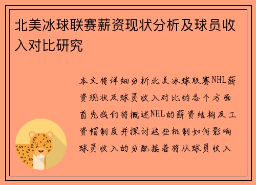 北美冰球联赛薪资现状分析及球员收入对比研究