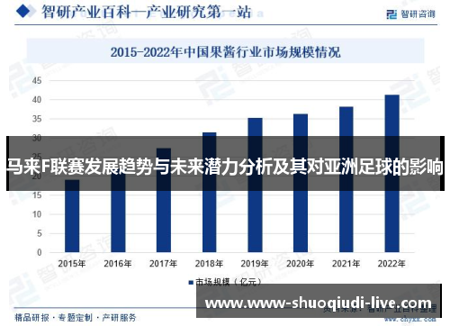马来F联赛发展趋势与未来潜力分析及其对亚洲足球的影响