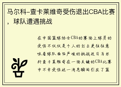 马尔科-查卡莱维奇受伤退出CBA比赛，球队遭遇挑战